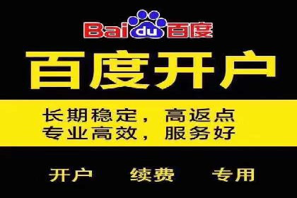 SEM推广案例：打造高效广告投放策略